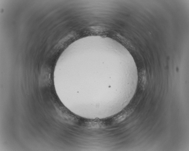 X0000081320615200701251810