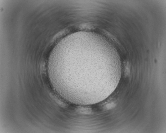 X0000081320619200701251810