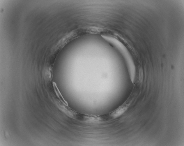 X0000081320621200701251809