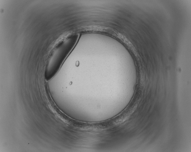 X0000081320625200701251809