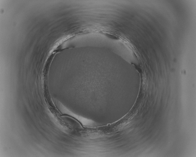 X0000081320626200701251809