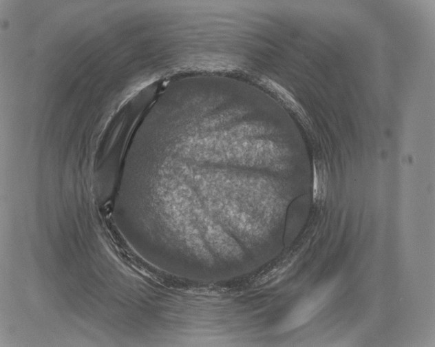 X0000081320627200701251809