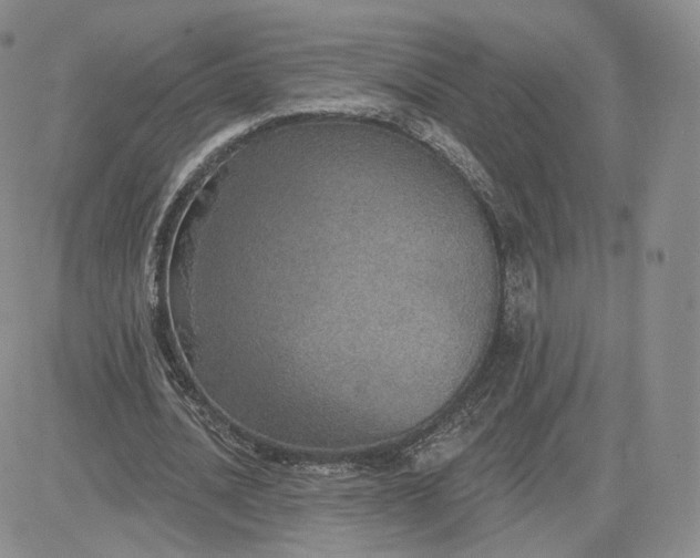 X0000081320628200701251809
