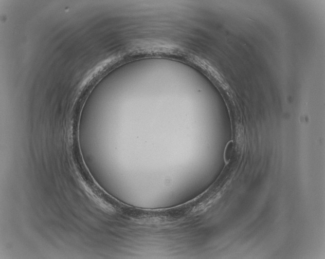 X0000081320629200701251809