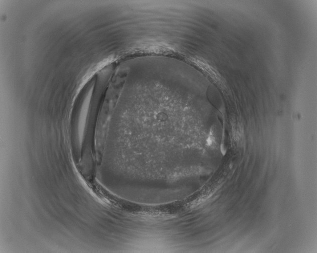 X0000081320630200701251809