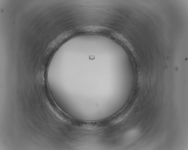 X0000081320633200701251809