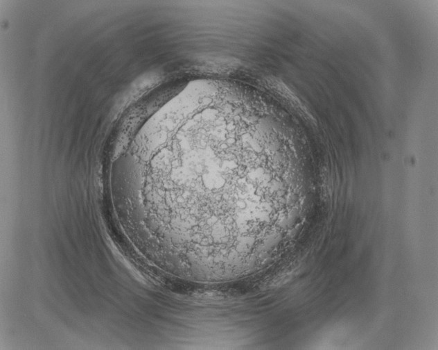 X0000081320634200701251809