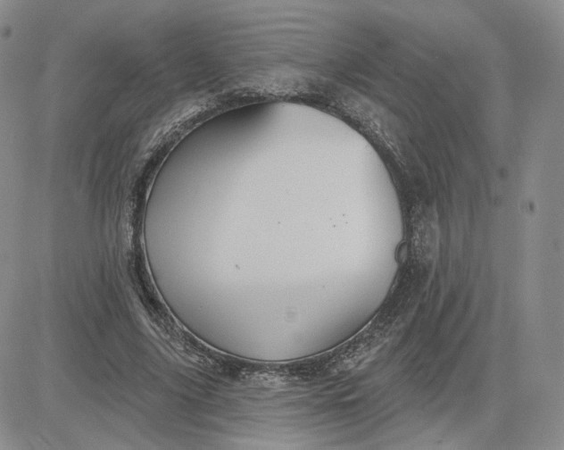 X0000081320635200701251809