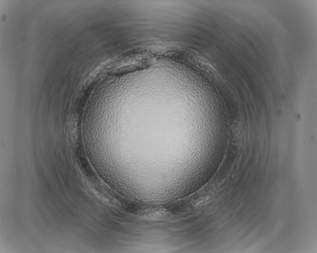 X0000081320642200701251809