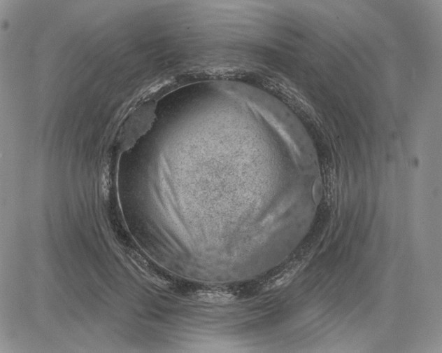 X0000081320644200701251809