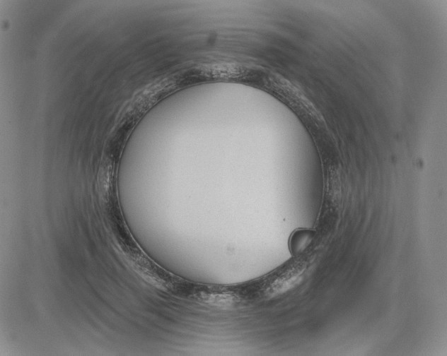 X0000081320645200701251809