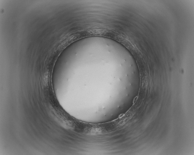 X0000081320647200701251809