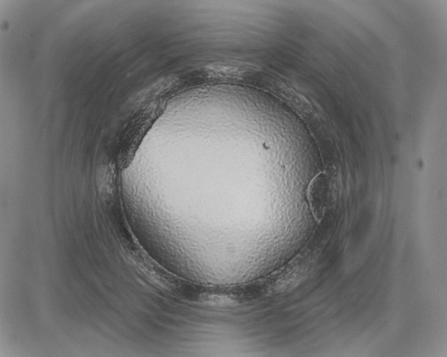 X0000081320649200701251809