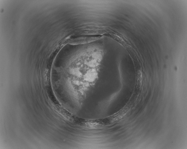 X0000081320650200701251809