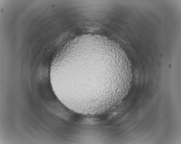 X0000081320657200701251809