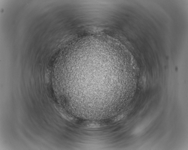 X0000081320658200701251809