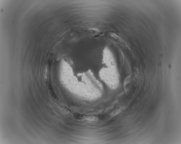 X0000081320659200701251809