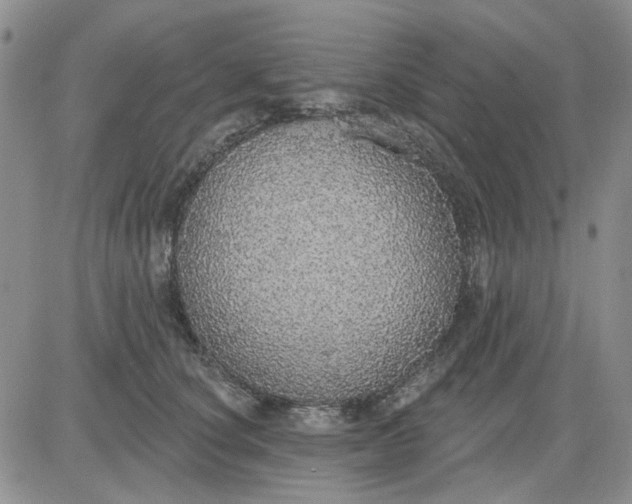 X0000081320660200701251809