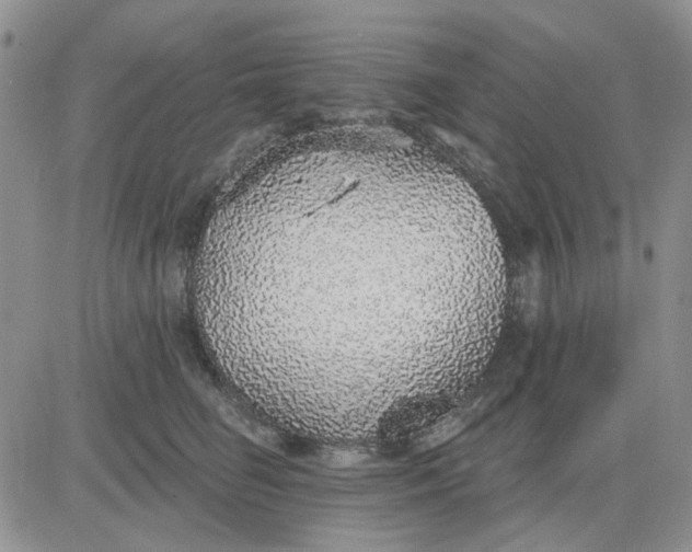 X0000081320662200701251809