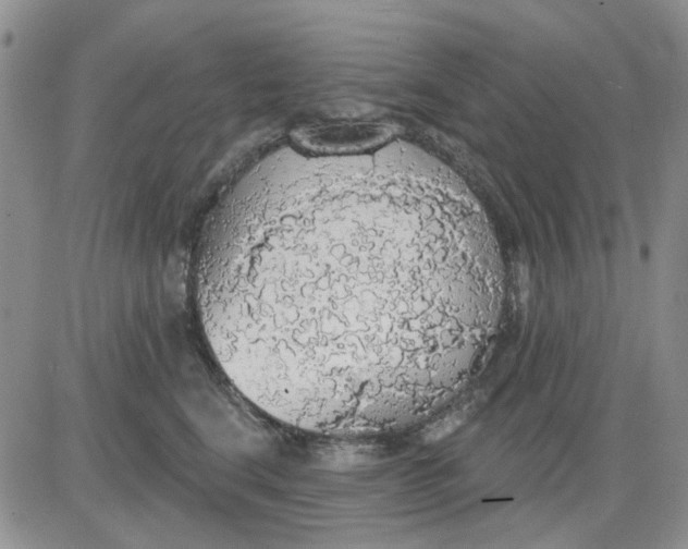 X0000081320664200701251809