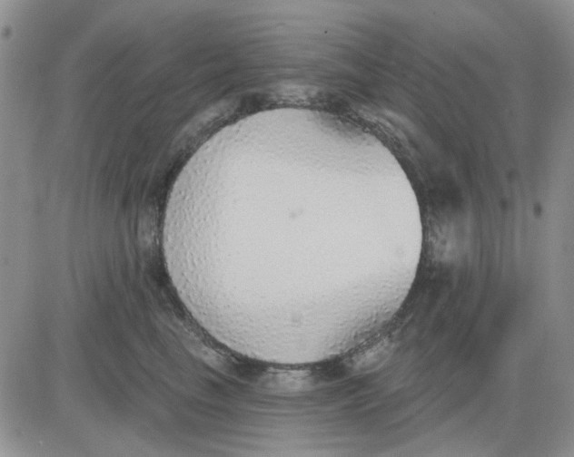 X0000081320665200701251809