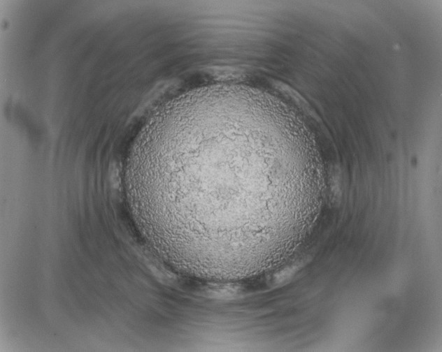 X0000081320667200701251809