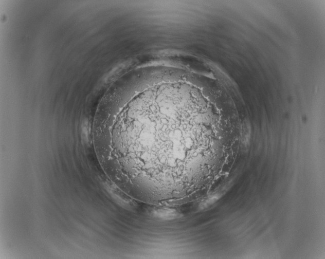 X0000081320669200701251809