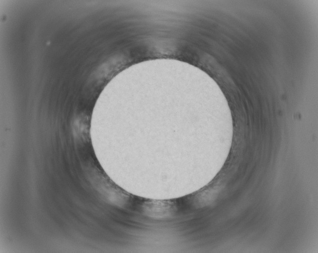 X0000081320672200701251809