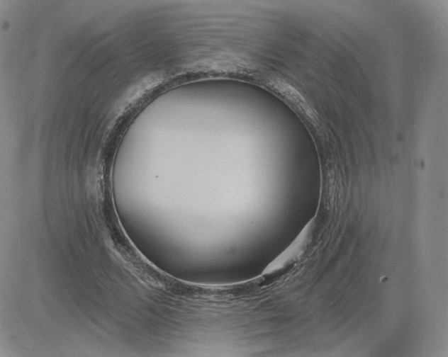 X0000081320680200701251809