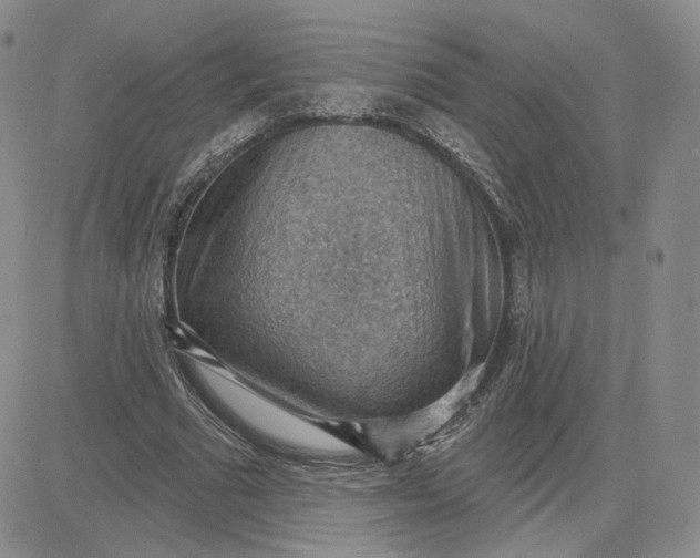X0000081320681200701251808