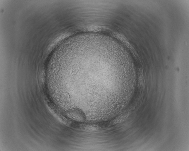X0000081320683200701251808