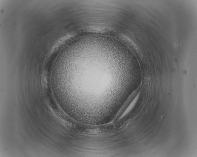 X0000081320688200701251808