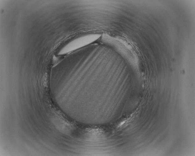 X0000081320689200701251808