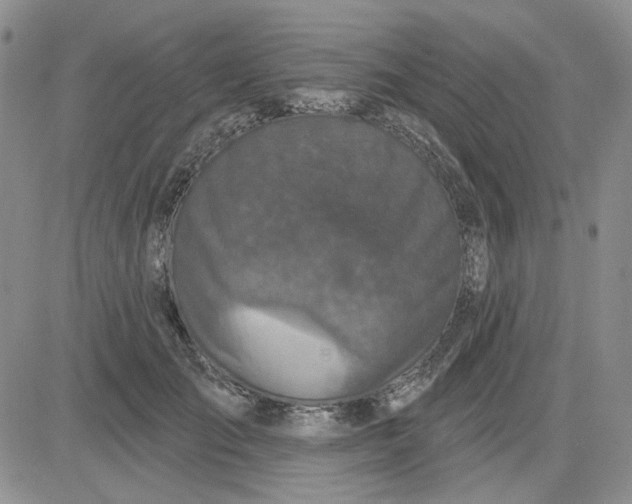 X0000081320701200701251808