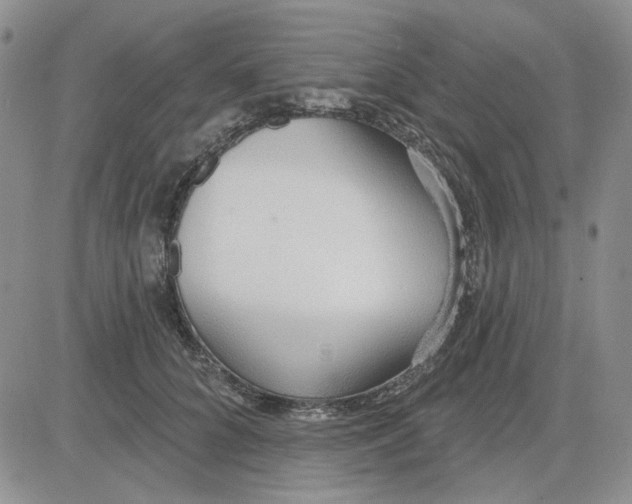 X0000081320704200701251808