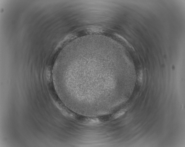 X0000081320715200701251808
