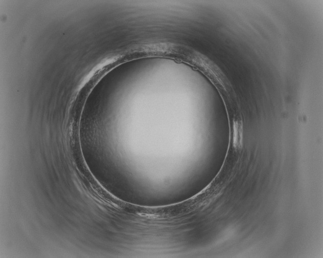 X0000081320723200701251807