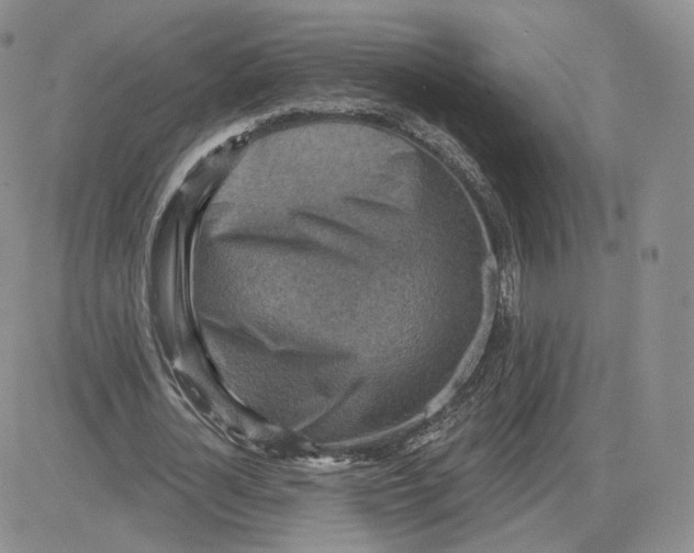 X0000081320724200701251807