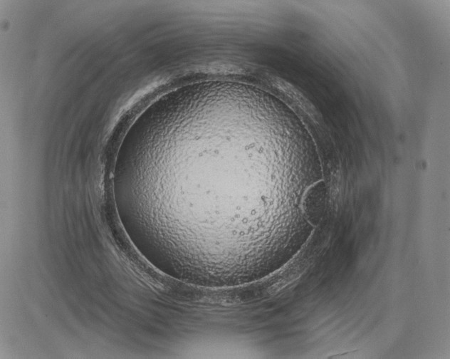 X0000081320727200701251807