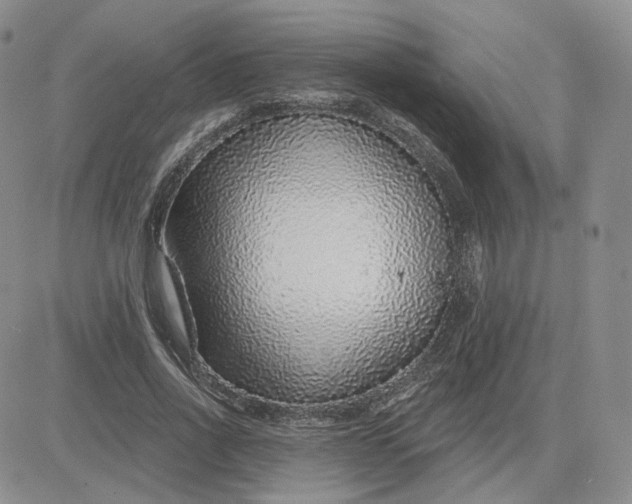 X0000081320734200701251807