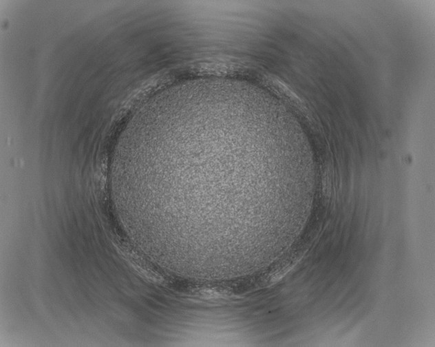 X0000081320737200701251807