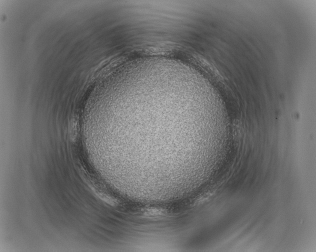 X0000081320741200701251807