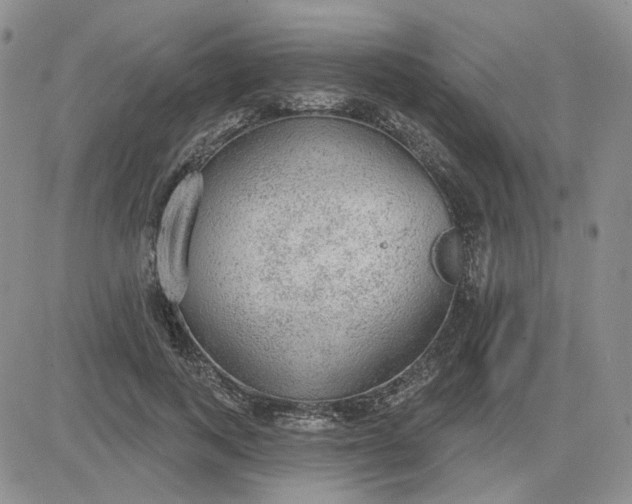 X0000081320743200701251807