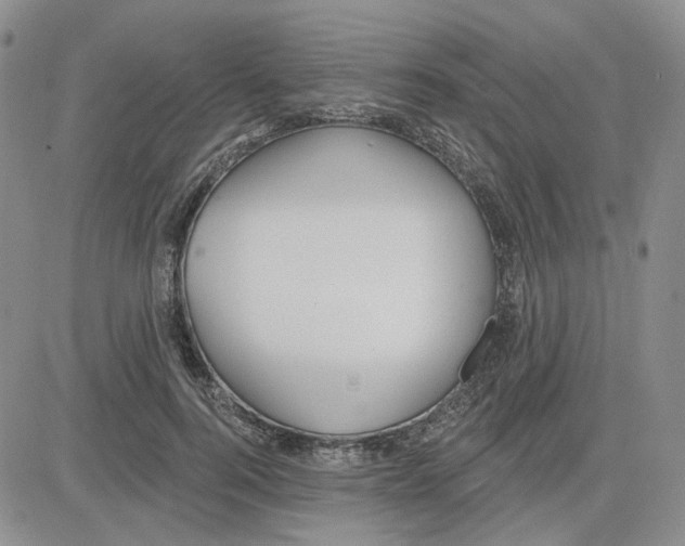 X0000081320744200701251807