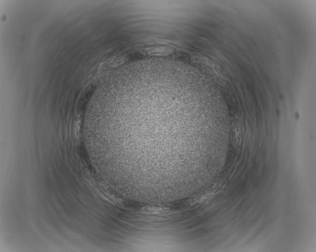 X0000081320745200701251807