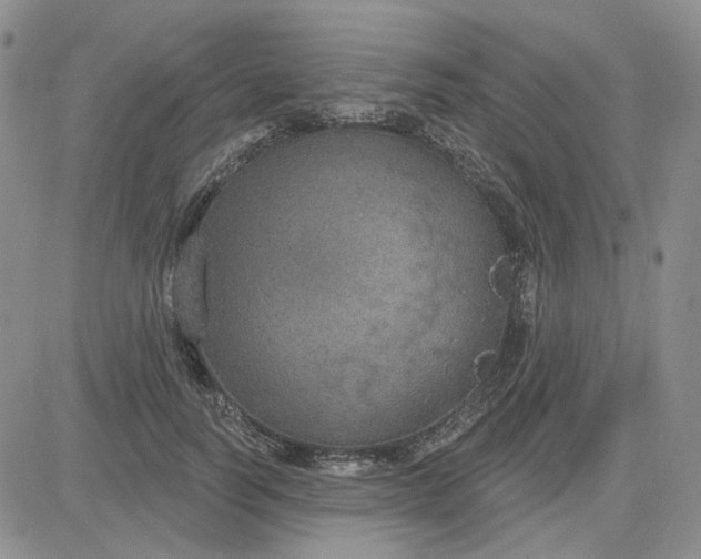 X0000081320746200701251807