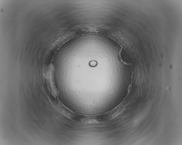 X0000081320747200701251808