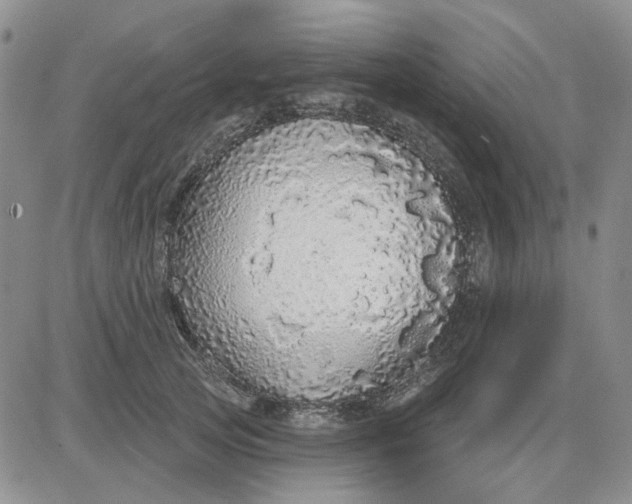 X0000081320753200701251808
