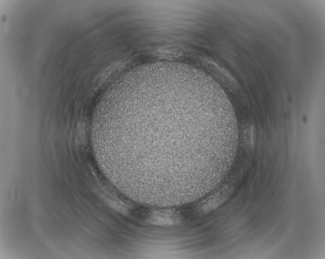 X0000081320757200701251808