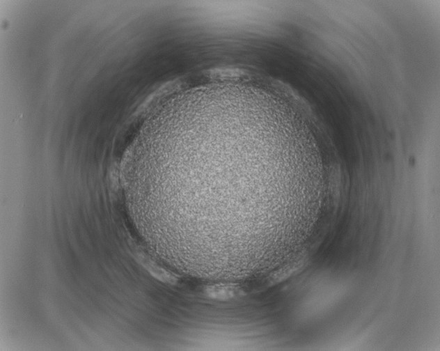 X0000081320761200701251808